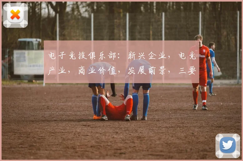 电子竞技俱乐部：新兴企业，电竞产业，商业价值，发展前景，三要素融合