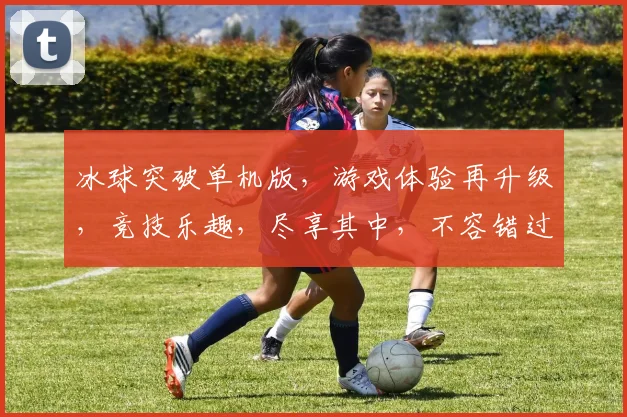 冰球突破单机版，游戏体验再升级，竞技乐趣，尽享其中，不容错过
