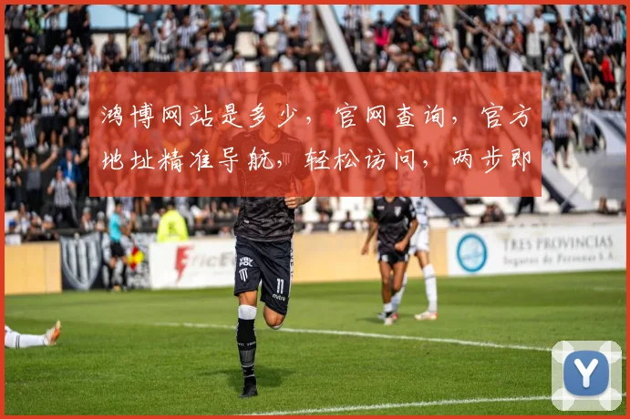 鸿博网站是多少，官网查询，官方地址精准导航，轻松访问，两步即可