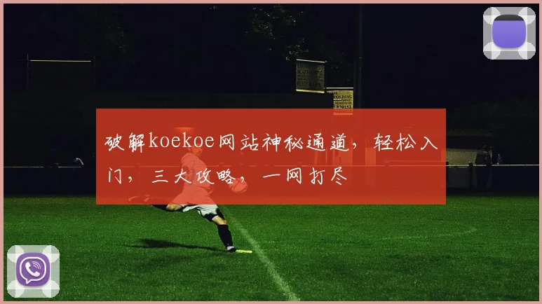 破解koekoe网站神秘通道，轻松入门，三大攻略，一网打尽